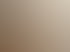 Lichtdurchfluteter Innenraum mit warmem Holzfußboden, bodennahem Sitzkreis aus Thai-Kissen, vielen Pflanzen und natürlicher Deko – ein ruhiger Ort für Achtsamkeitsübungen, Workshops und gemeinsame Thai Yoga Sessions.