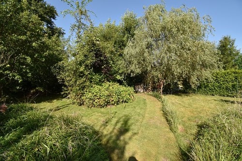 Ein schmaler, gemähter Pfad führt durch hohes Gras zu Bäumen und Büschen unter blauem Himmel.