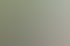 Ein Gärtner verlegt Rollrasen auf einem grauen Untergrund.