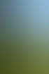 Eine grüne Stahlbrückenkonstruktion, teilweise mit hellem Laub bewachsen, vor blauem Himmel und Bäumen.