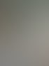 Frischgewischt Gebäudereinigung Hannover, Treppenhausreinigung Hannover, Grünpflege Hannover, Graupflege Hannover, Büroreinigung Hannover, Immobilienpflege Hannover