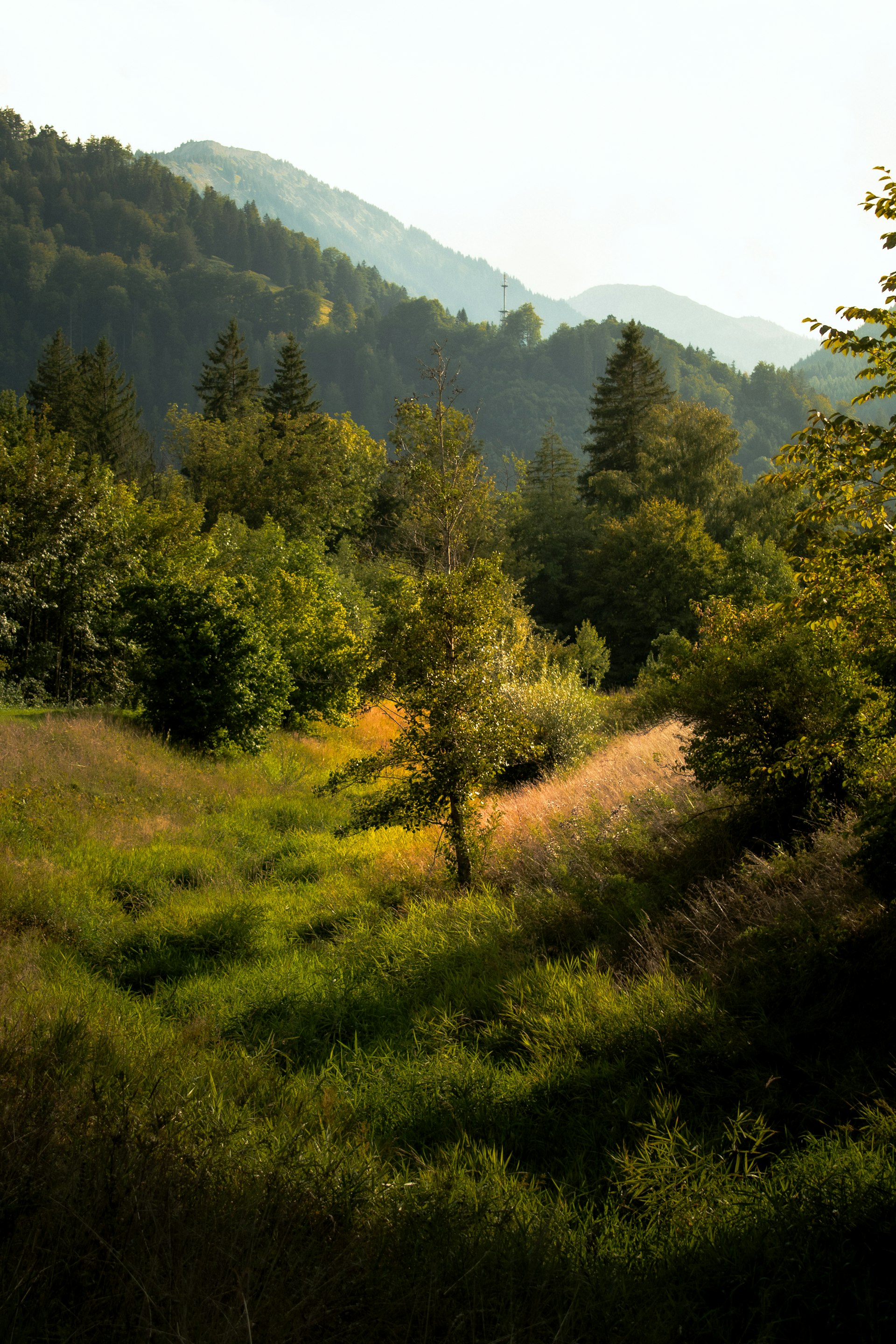Wandern auf der Adelegg