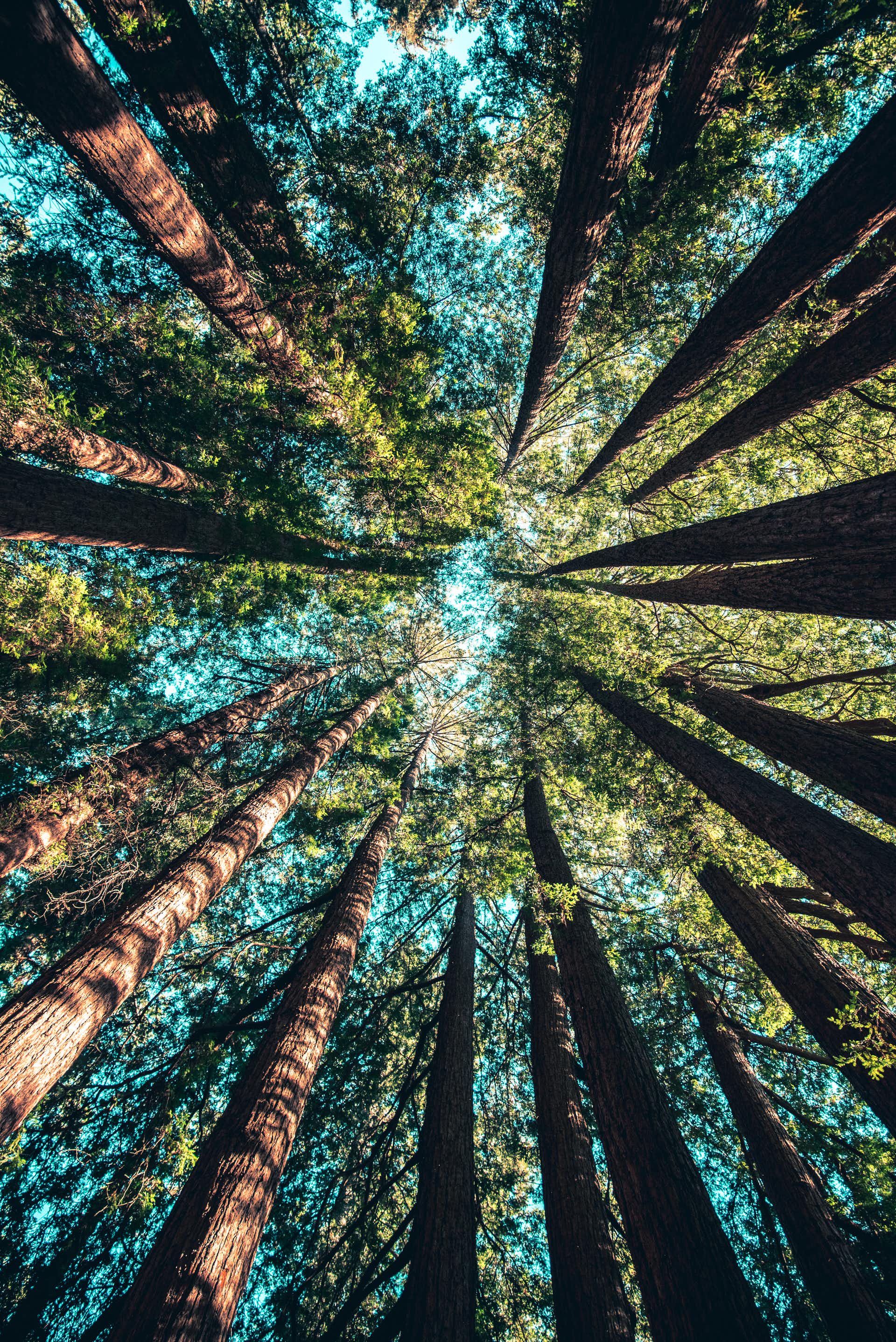 Erholung in der Natur 