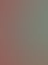 Türkises Wähltelefon an einer Wand mit rot-grünem, blumenverziertem Tapetenmuster.