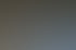 Hände einer älteren Person bedienen ein weißes Tablet mit einer Foto-App neben einer kleinen Sukkulente auf einem Tisch.