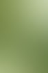 Beistellbild Newsletter