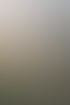 Nahaufnahme von Gräsern und Ähren im warmen Sonnenlicht vor einem unscharfen Naturhintergrund.