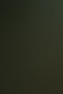 Grüne Tannenzweige mit unscharfen, leuchtenden, gelben Lichtern im Hintergrund.