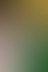 Laptop zeigt die Creatopy-Website mit „Ad Design Automation Platform“ und Beispielen für Werbebanner.