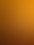 Silhouetten von drei Palmen vor einem leuchtend orangefarbenen Sonnenuntergang, der über einem Waldhorizont untergeht.