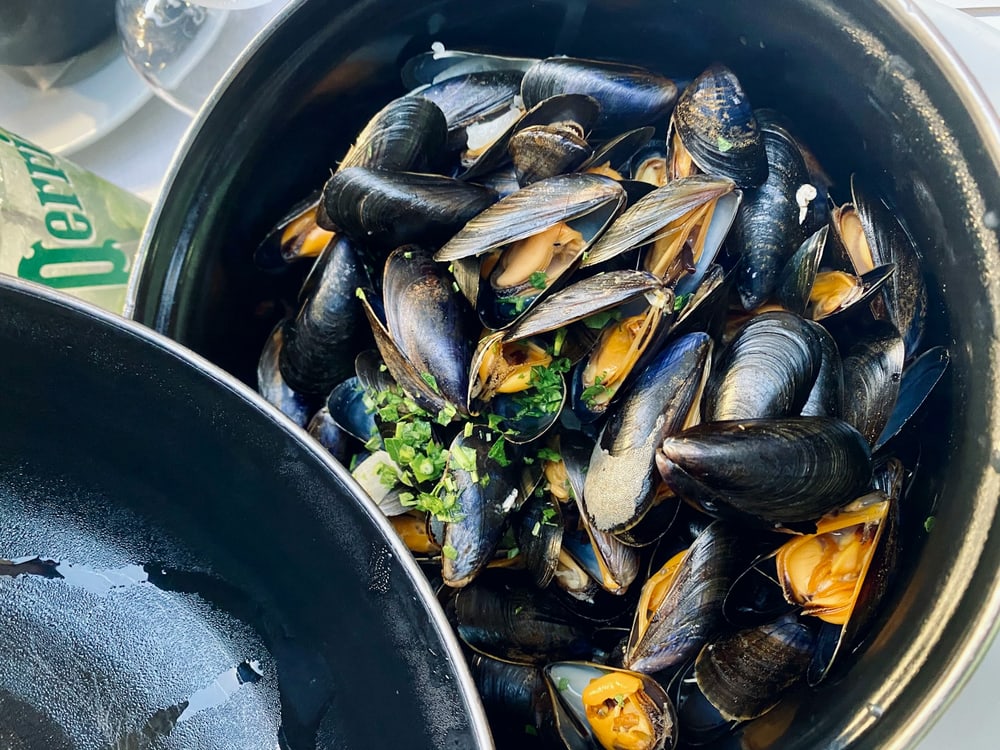 Moules à la crème, frische Miesmuscheln in Rahmsauce