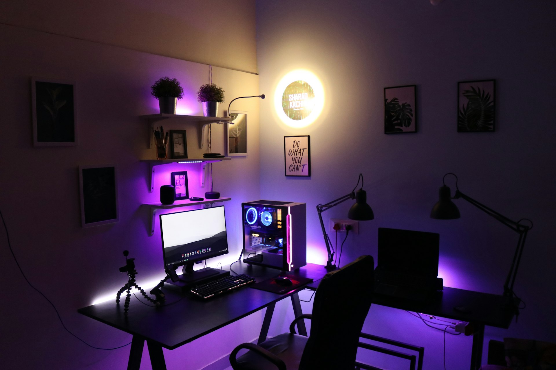 ROGIS STREAMING ZIMMER · 2026