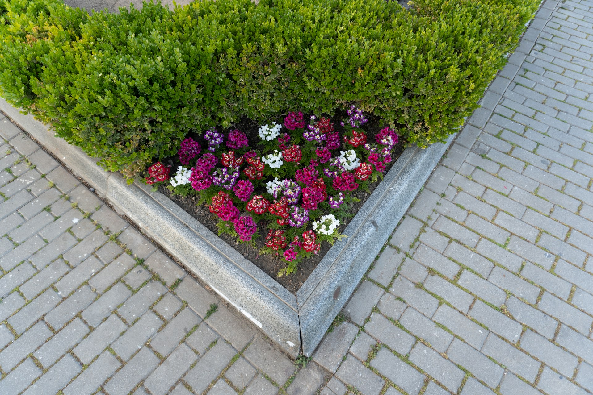 Steingarten