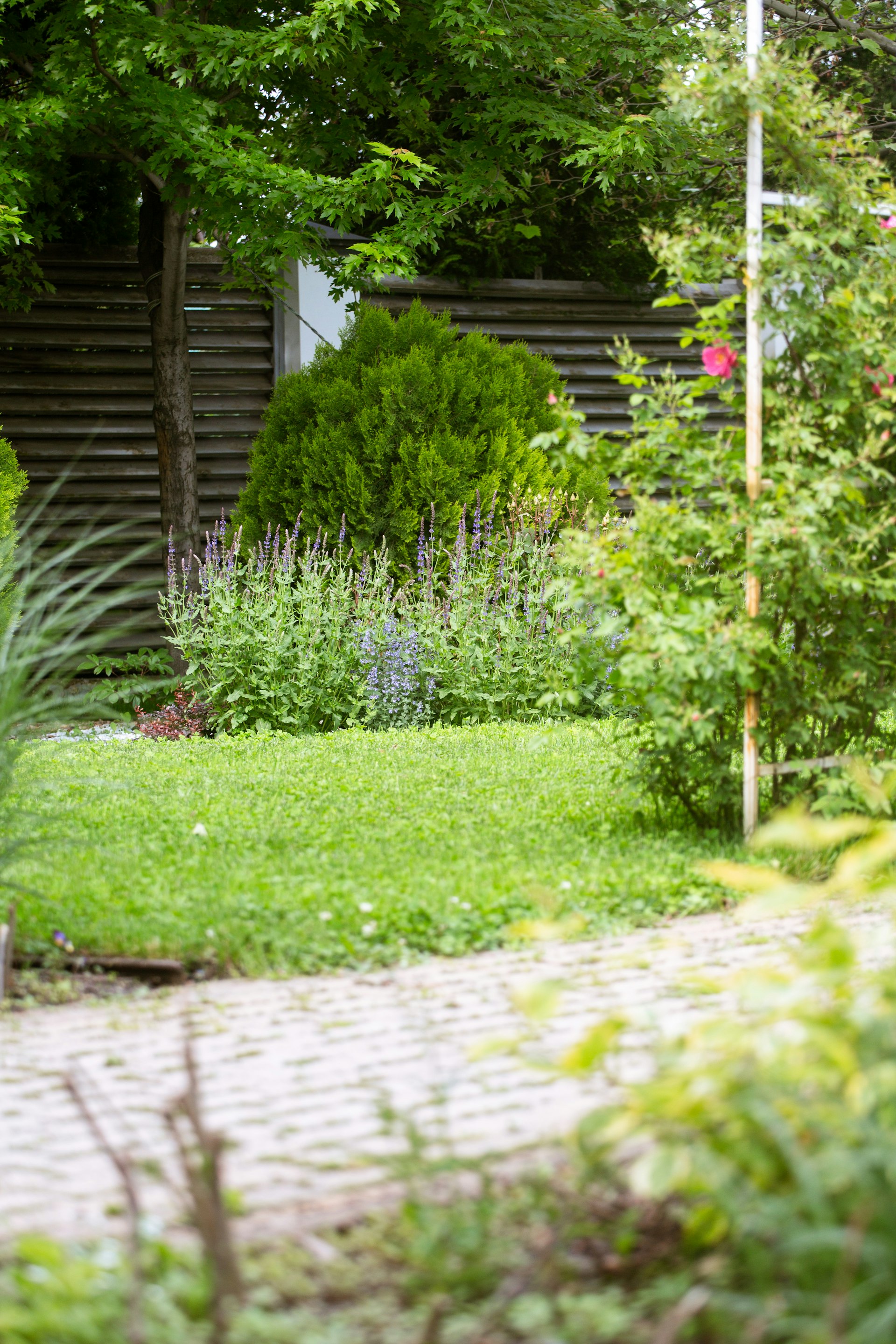 Garten- und Landschaftsbauer beim Pflastern neben einem Minibagger