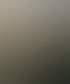VEWP