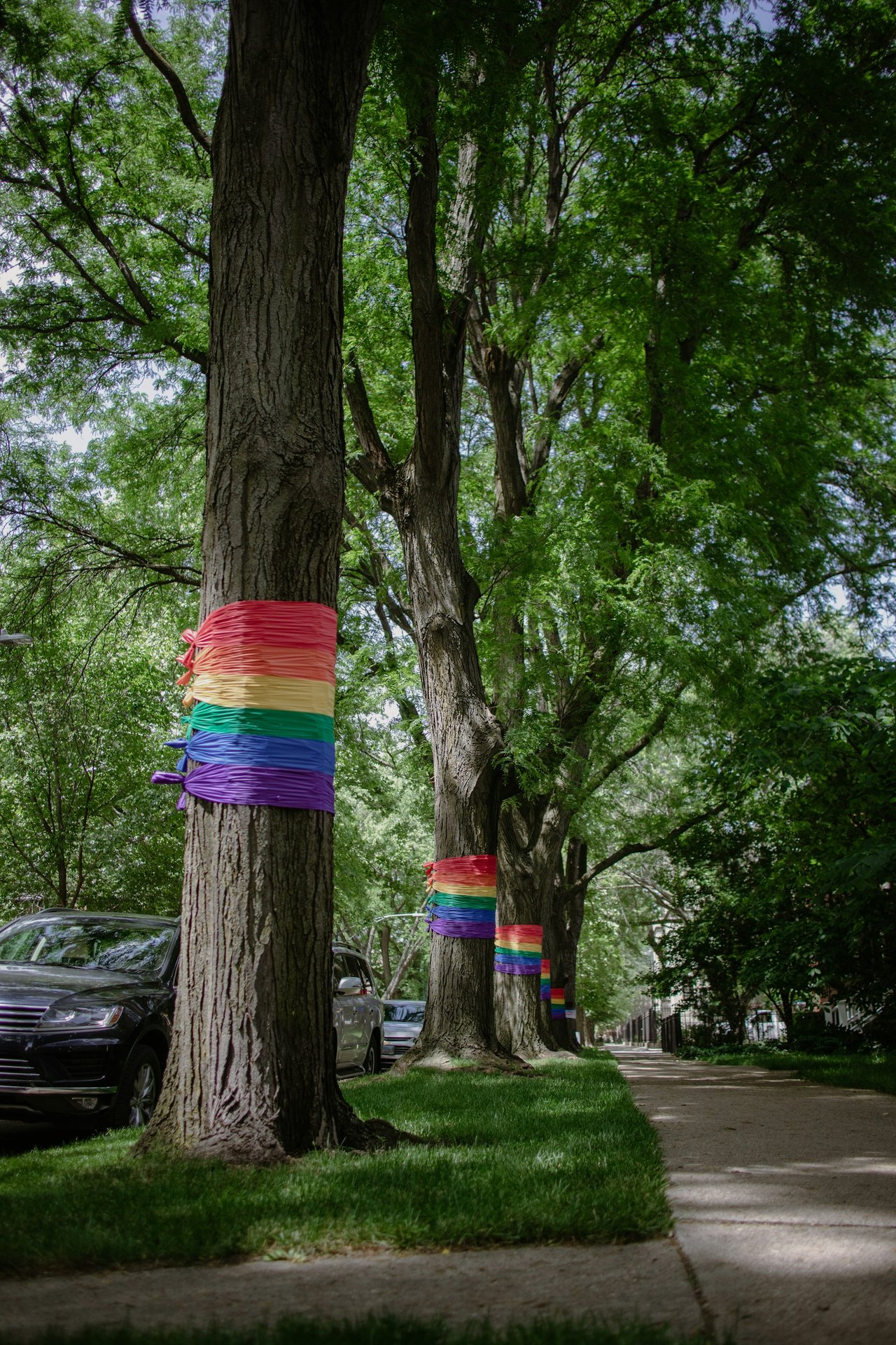 Bäume entlang eines Bürgersteigs sind mit bunten Bändern in Regenbogenfarben geschmückt.